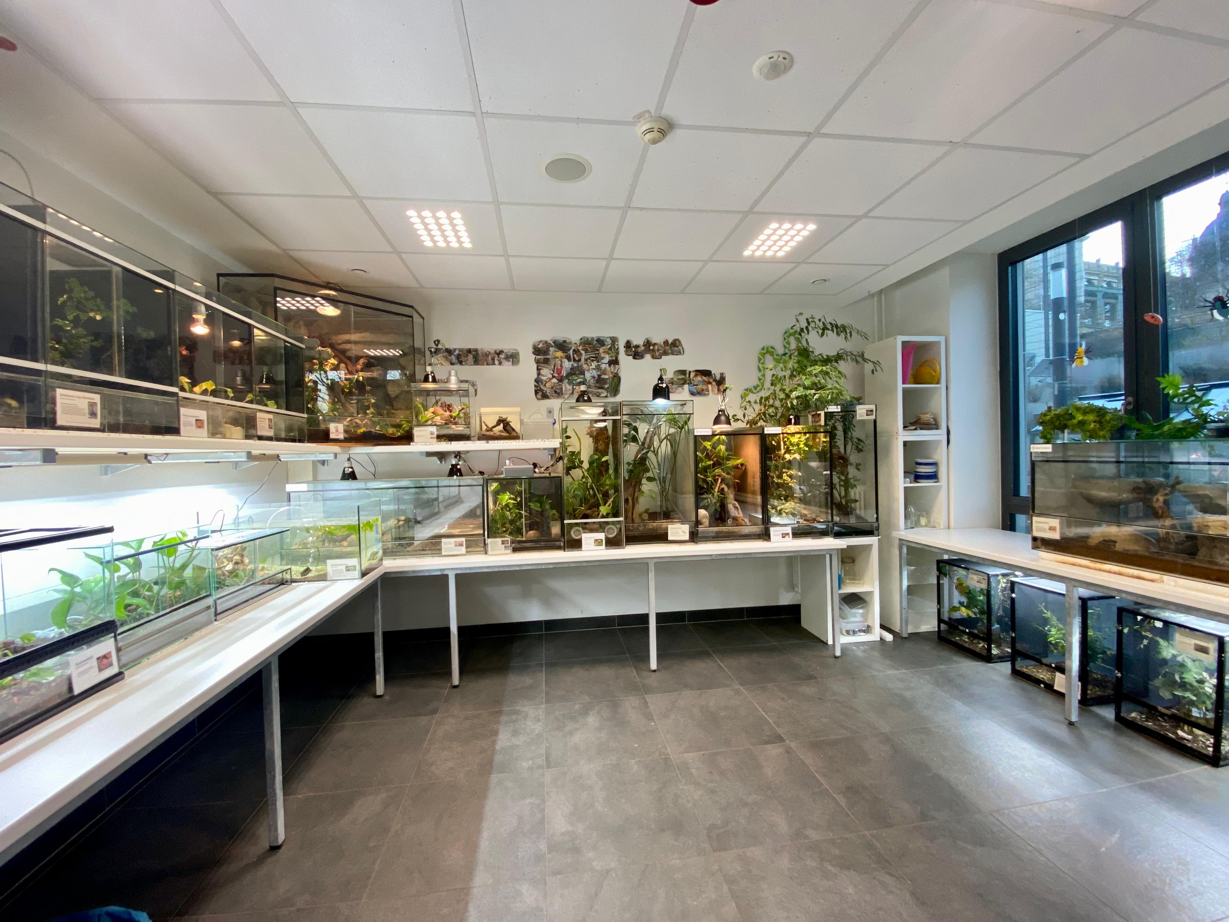 Viva25 2 Schlangengrube